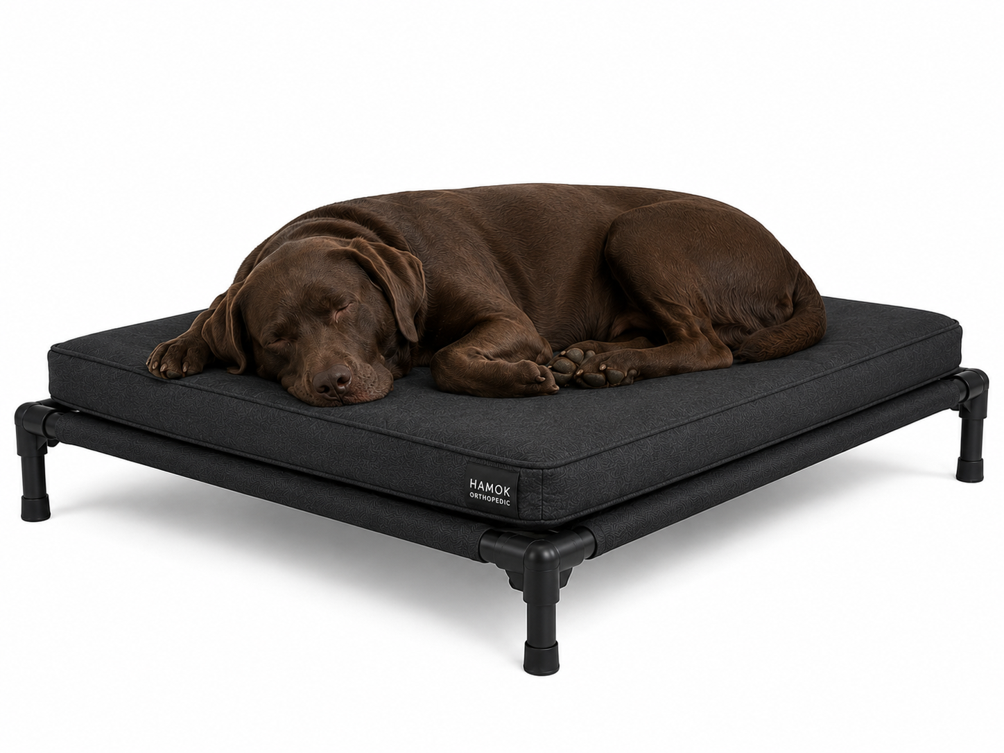Chocolate Labrador sleeping on a black Hamok orthopedic elevated dog bed